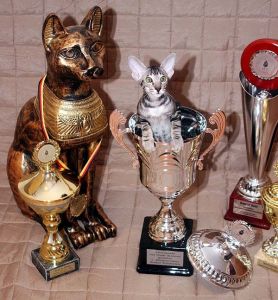 ���� ��������� ����� 